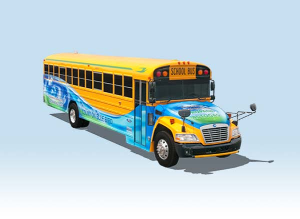 New Electric Buses