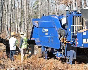 Peterson Chipper